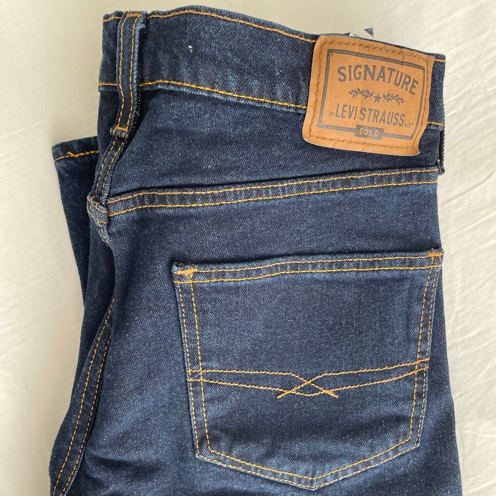 Signature by Levi Strauss, Gold Label. Men's Regular Fit (Like New)